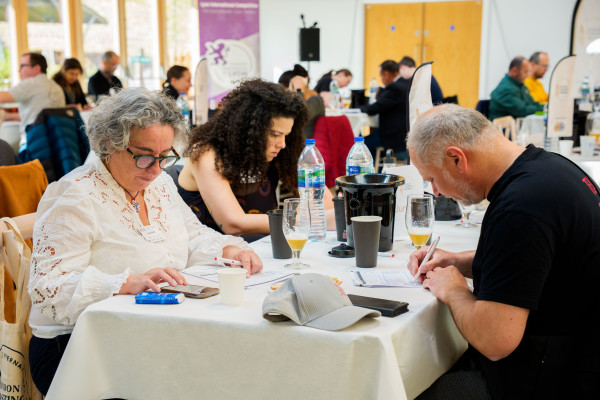 What is a Mixed Jury and why does it matter?